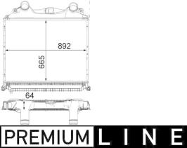 Mahle CI121000P