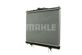 Mahle CR1073000S