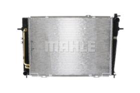 Mahle CR1321000S