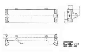 Ordoñez 1030099825 - INTER  LIEBHERR