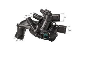 Mahle TM56105 - TERMO PSA