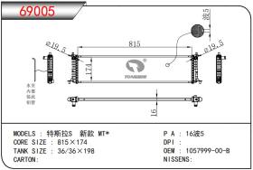 TONGSHI 69005 - RADIA TESLA MODEL S (SYJS) (815X174X16)