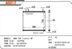 TONGSHI 65017 - RADIA MAN TGS (07>) 934-896-42